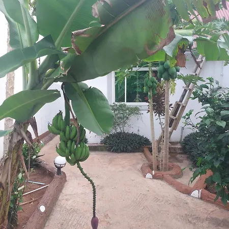 Eco Lodge